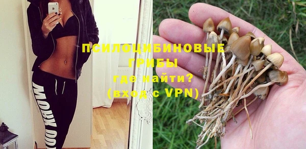 мефедрон Богородицк