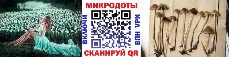 Псилоцибиновые грибы прущие грибы  Купить где  Белозерск 